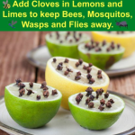 Homemade Mosquito Repellent that works!