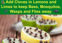 Homemade Mosquito Repellent that works!