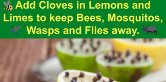 Homemade Mosquito Repellent that works!