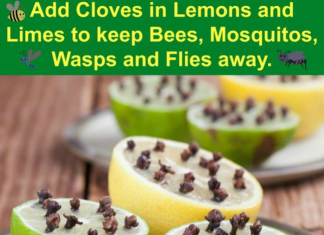 Homemade Mosquito Repellent that works!