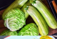 Savory Cabbage and Zucchini Patties