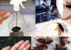Magic Clove: A Quick and Natural Remedy to Combat Cockroaches