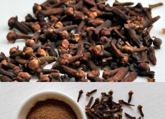 What Will Happen if You Take 2 Cloves Every Day?