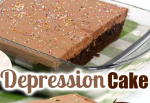 Chocolate Depression Cake – No Milk, Eggs or Butter