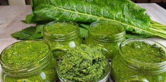 The Remarkable Benefits of Horseradish Leaves: Your Guide to Wellness and Culinary Creativity