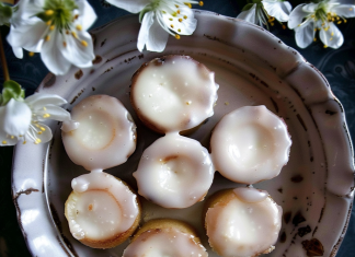 Lemon Blossoms So Good, They’ll Make Your Taste Buds Dance!