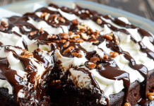 This Mississippi Mud Cake is So Rich, It Should Be Illegal!