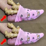 Discover the Amazing Benefits of Placing Ginger on Your Feet: A Simple Yet Powerful Remedy
