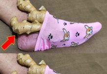 Discover the Amazing Benefits of Placing Ginger on Your Feet: A Simple Yet Powerful Remedy