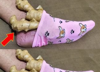 Discover the Amazing Benefits of Placing Ginger on Your Feet: A Simple Yet Powerful Remedy