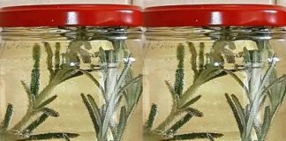 Cholesterol almost disappears after using this liquid to cleanse blood vessels.