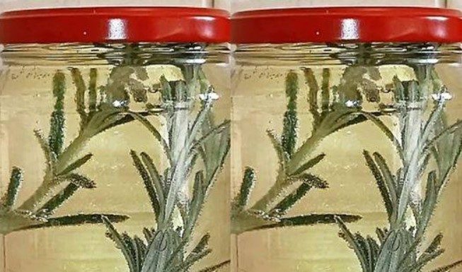 Cholesterol almost disappears after using this liquid to cleanse blood vessels.