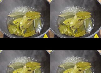 Put This on for 1 Hour in Your House, and You’ll Never See Flies, Mosquitoes, or Cockroaches Again: Bay Leaves