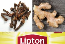 Warm Up with a Clove, Ginger, and Lipton Tea!