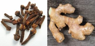 Warm Up with a Clove, Ginger, and Lipton Tea!