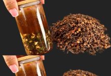 Discover the Natural Powers of Cloves for Hair Health