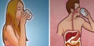 Start Your Day Right with Water