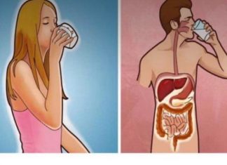 Start Your Day Right with Water