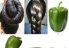 The Indian Secret 🌿 to Grow Hair at Rocket Speed and Treat Baldness from the First Week: Green Pepper