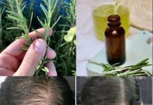 Unleash the Power of Rosemary: A Natural Remedy for Lush, Vibrant Hair