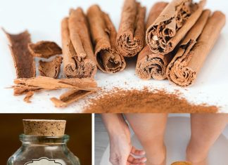 Discover 12 Unexpected Uses for Cinnamon in Everyday Life 