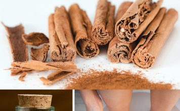 Discover 12 Unexpected Uses for Cinnamon in Everyday Life 
