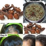 Unlock the Secrets of Cloves for Accelerated Hair Growth: A Time-Tested Indian Remedy