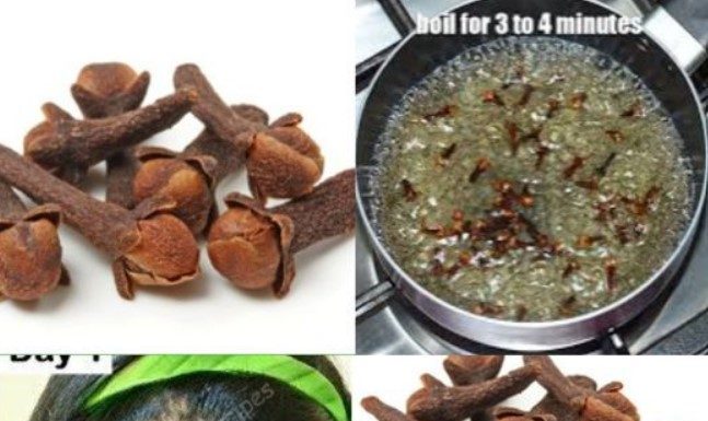 Unlock the Secrets of Cloves for Accelerated Hair Growth: A Time-Tested Indian Remedy