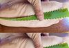 Aloe Vera’s Natural Healing Properties: A Home Remediest for Sore Feet