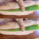 Aloe Vera’s Natural Healing Properties: A Home Remediest for Sore Feet