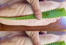 Aloe Vera’s Natural Healing Properties: A Home Remediest for Sore Feet
