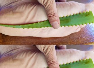 Aloe Vera’s Natural Healing Properties: A Home Remediest for Sore Feet