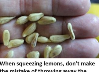 When You Squeeze Lemons, You Should Not Make the Mistake of Tossing Away the Seeds