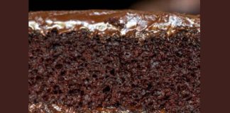 Chocolate Depression Cake