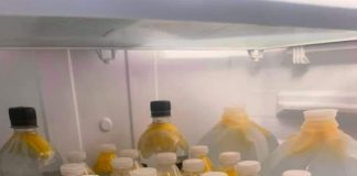 “This Simple Drink Could Melt Away Belly Fat Faster Than You Think—Discover the Power of Ginger Water!”