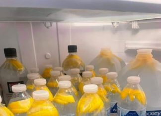 “This Simple Drink Could Melt Away Belly Fat Faster Than You Think—Discover the Power of Ginger Water!”