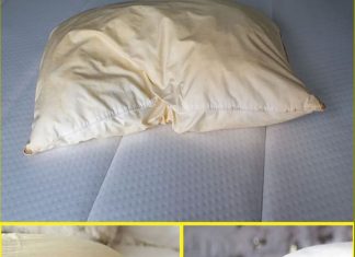 The Ultimate Guide to Reviving Your Dingy Pillows: A Cleaning Hack You Can’t Miss!