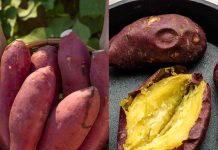 Discover the Magic of Sweet Potatoes: A Treasure in Your Kitchen!