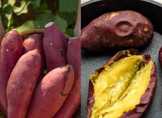 Discover the Magic of Sweet Potatoes: A Treasure in Your Kitchen!