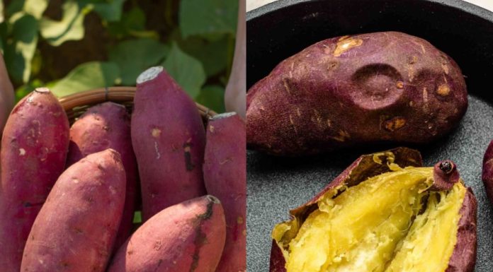 Discover the Magic of Sweet Potatoes: A Treasure in Your Kitchen!
