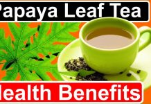 Papaya Leaf Tea: Unveiling the Hidden Health Benefits