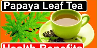 Papaya Leaf Tea: Unveiling the Hidden Health Benefits