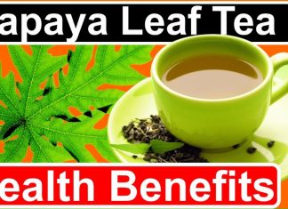 Papaya Leaf Tea: Unveiling the Hidden Health Benefits