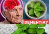 1 Spoon of This Miracle Plant to Prevent Dementia: Mint’s Amazing Benefits
