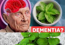 1 Spoon of This Miracle Plant to Prevent Dementia: Mint’s Amazing Benefits