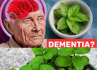 1 Spoon of This Miracle Plant to Prevent Dementia: Mint’s Amazing Benefits