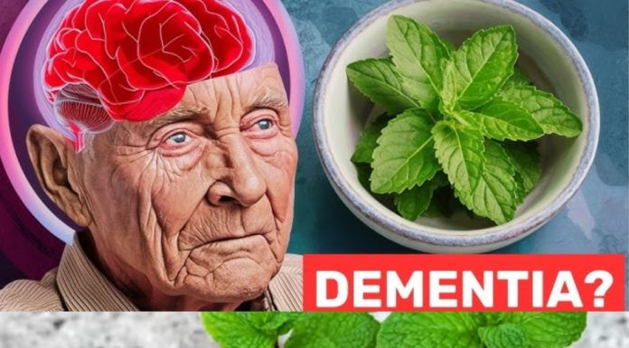 1 Spoon of This Miracle Plant to Prevent Dementia: Mint’s Amazing Benefits