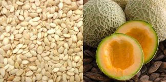 Unleashing the Power of Melon Seeds: A Natural Solution for Health and Wellness
