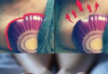 The Amazing Healing Power of Onions: A Surprising Remedy
