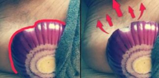 The Amazing Healing Power of Onions: A Surprising Remedy